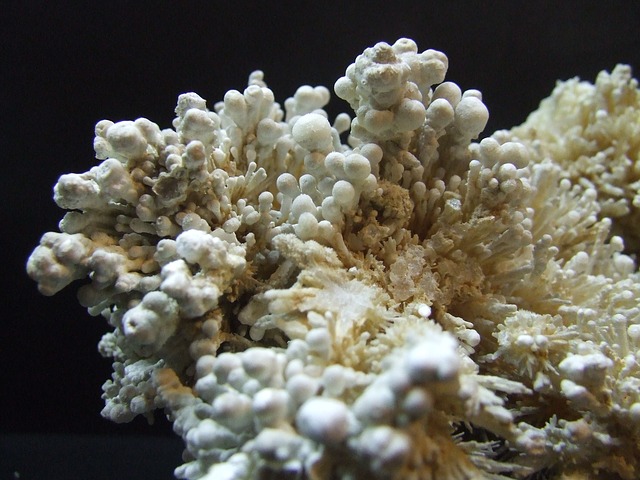 aragonite