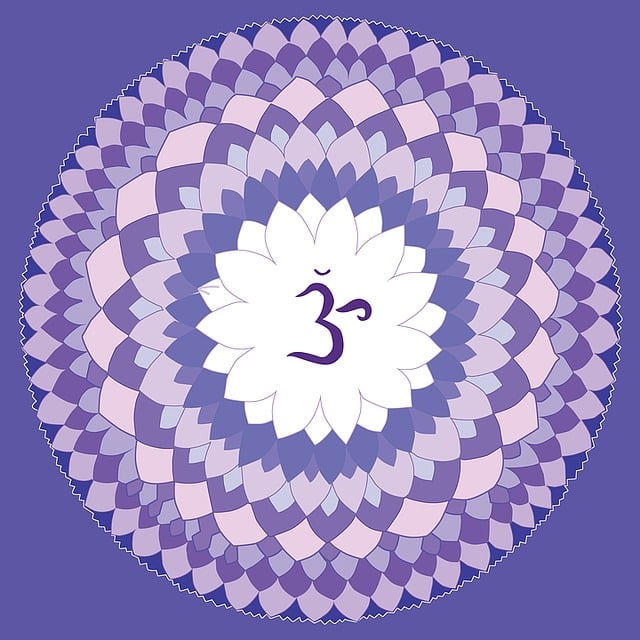 chakra couronne
