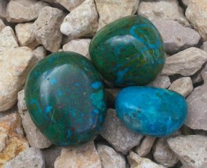 chrysocolle