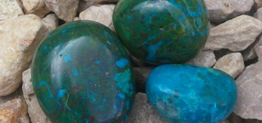 chrysocolle